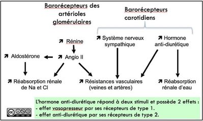 baisse de pression.jpg