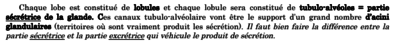 Capture d’écran 2021-03-23 à 19.36.53.png