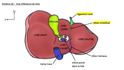 liga rond 2.PNG