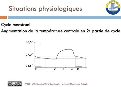 cycle menstruel.jpg