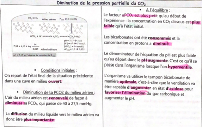 Capture d’écran 2021-04-04 à 17.49.51.png