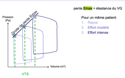 Capture d’écran 2021-04-06 à 20.17.40.png