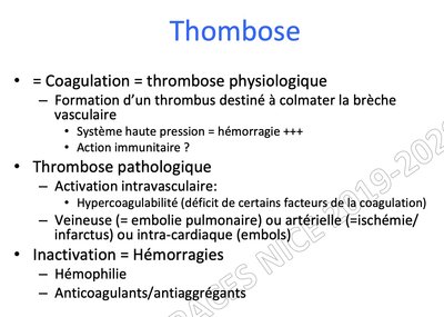 thrombose physio.jpg