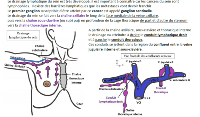 drainage 2.PNG