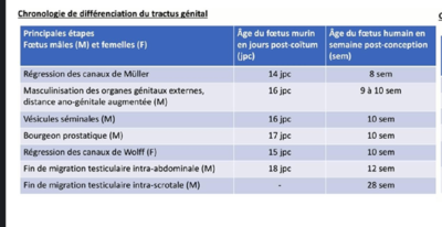 Capture d’écran 2021-04-19 à 23.30.08.png