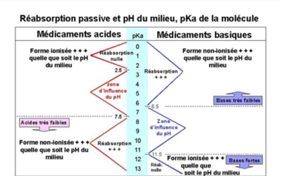 tableau réabsorption.png