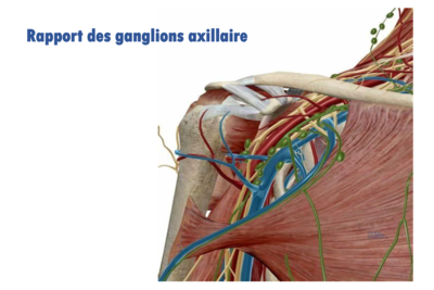 Capture d’écran 2021-04-29 à 14.22.43.png