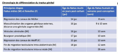 Capture d’écran 2021-05-03 à 17.37.56.png