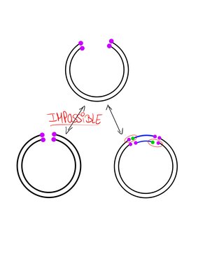 Bloc-notes sans titre-11.jpg