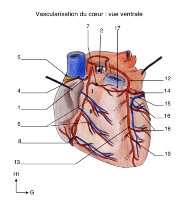 Capture d’écran 2022-01-22 à 18.56.45.png