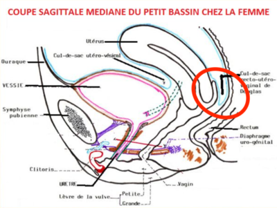 Capture d’écran 2022-01-28 à 18.44.27.png