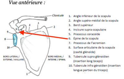 Capture d’écran 2022-01-31 à 09.06.56.png