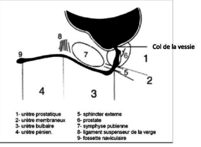 Capture d’écran 2022-01-28 à 22.34.05.png