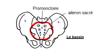 prom aileron.jpg