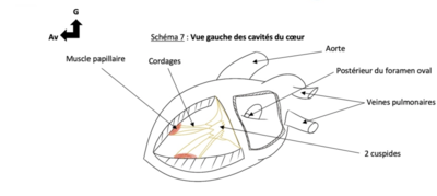 Capture d’écran 2022-03-02 à 17.45.59.png