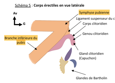 Capture d’écran 2022-03-06 à 18.47.21.png