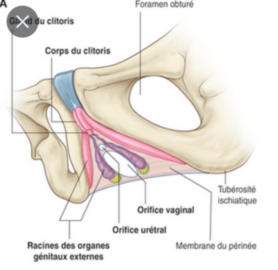 Capture d’écran 2022-03-06 à 18.48.55.png