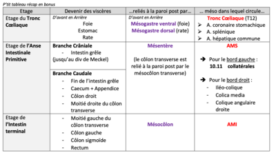 P'tit tableau récap en bonus.png