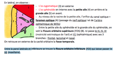 Capture d’écran 2022-04-11 à 02.29.16.png