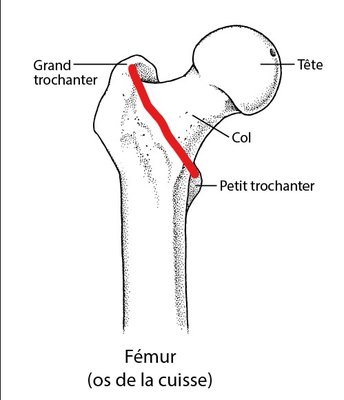 Base du traingle de faiblesse.jpg