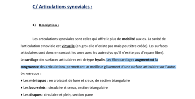 Capture d’écran 2022-05-01 à 00.23.25.png