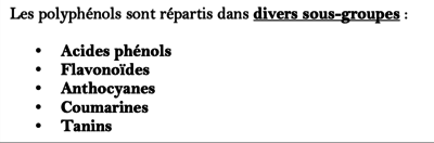 Capture d’écran 2023-03-01 à 22.02.06.png