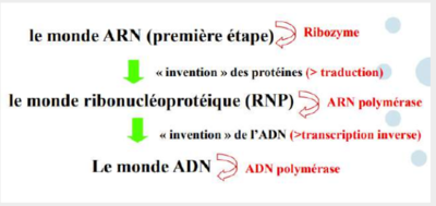 Capture d’écran (10).png