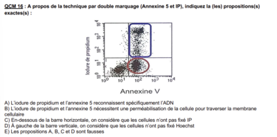 Capture d'écran 2023-10-04 183447.png