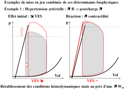 biophy.png