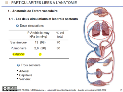 Darcourt - poly 2 diapo 2.png