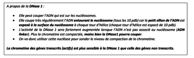 Capture d’écran 2023-10-19 à 15.53.16.png