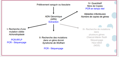 Capture d’écran (437).png