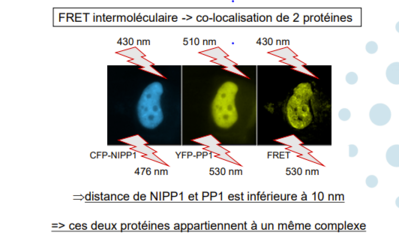 covalence.PNG