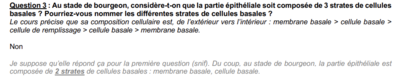 Capture d'écran 2024-02-10 200055.png