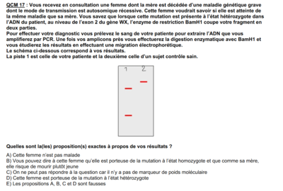 Capture d'écran 2024-09-11 114445.png