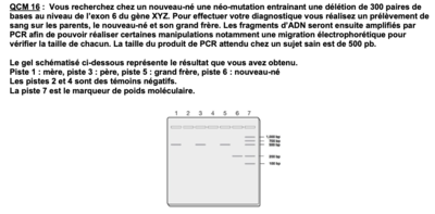 Capture d’écran 2024-09-15 à 10.31.06.png