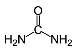 urée.jpg