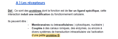 Capture d'écran 2024-11-05 192655.png