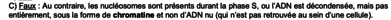 Capture d’écran 2024-11-24 à 09.56.55.png