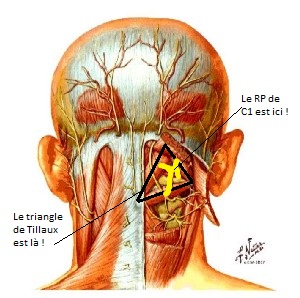 Triangle de Tillaux.jpg